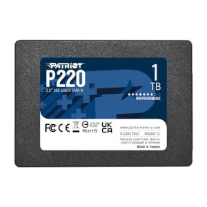 P220 1tb SSD